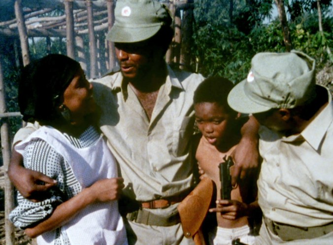 Ambushed South African Films