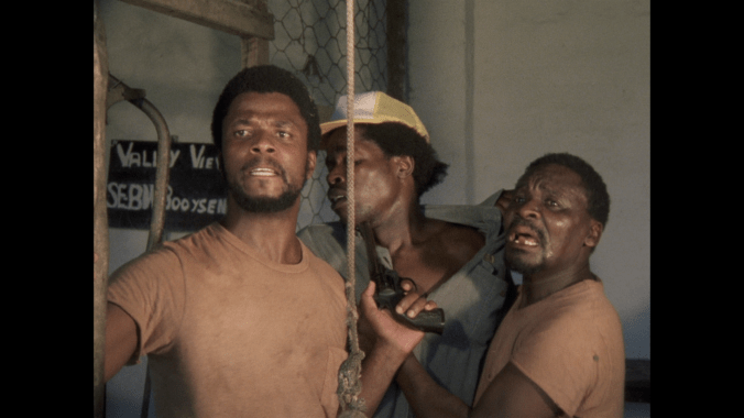 Fishy Stones South African Cinema