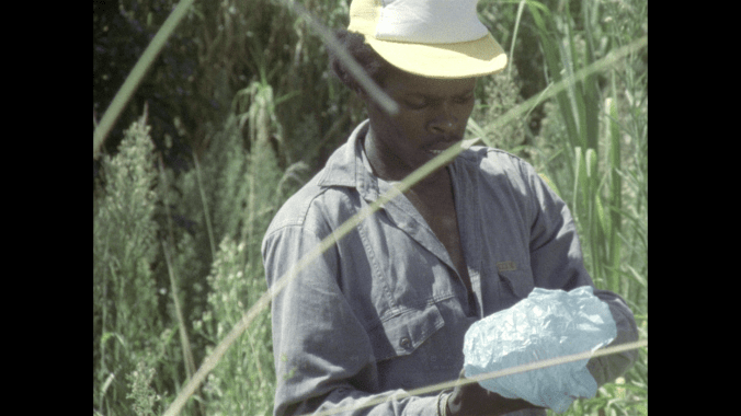 Fishy Stones South African Cinema