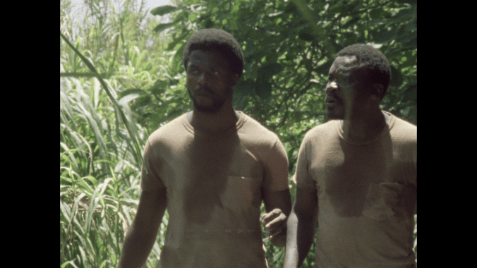 Fishy Stones South African Cinema